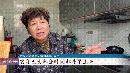 DƬ